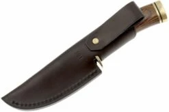 Buck 192 Vanguard 0192BRS-B Dymond Wood -Morakniv Knives Sale BUCK0192BRS B 07 buck 192 vanguard heritage buck192brs b 07