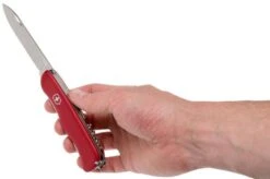 Victorinox Cheese Knife 0.8303.W Swiss Pocket Knife -Morakniv Knives Sale VT0 8303 W 05 victorinox